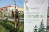 ​В Нарьян-Маре высадили деревья в рамках федеральных акций «Сохраним лес» и «Сад памяти»