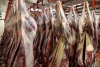 ​СПК «Ижемский оленевод и Ко» в два раза увеличит объём поставки оленины на мясокомбинат
