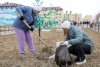 ​НАО присоединился к Всероссийскому субботнику